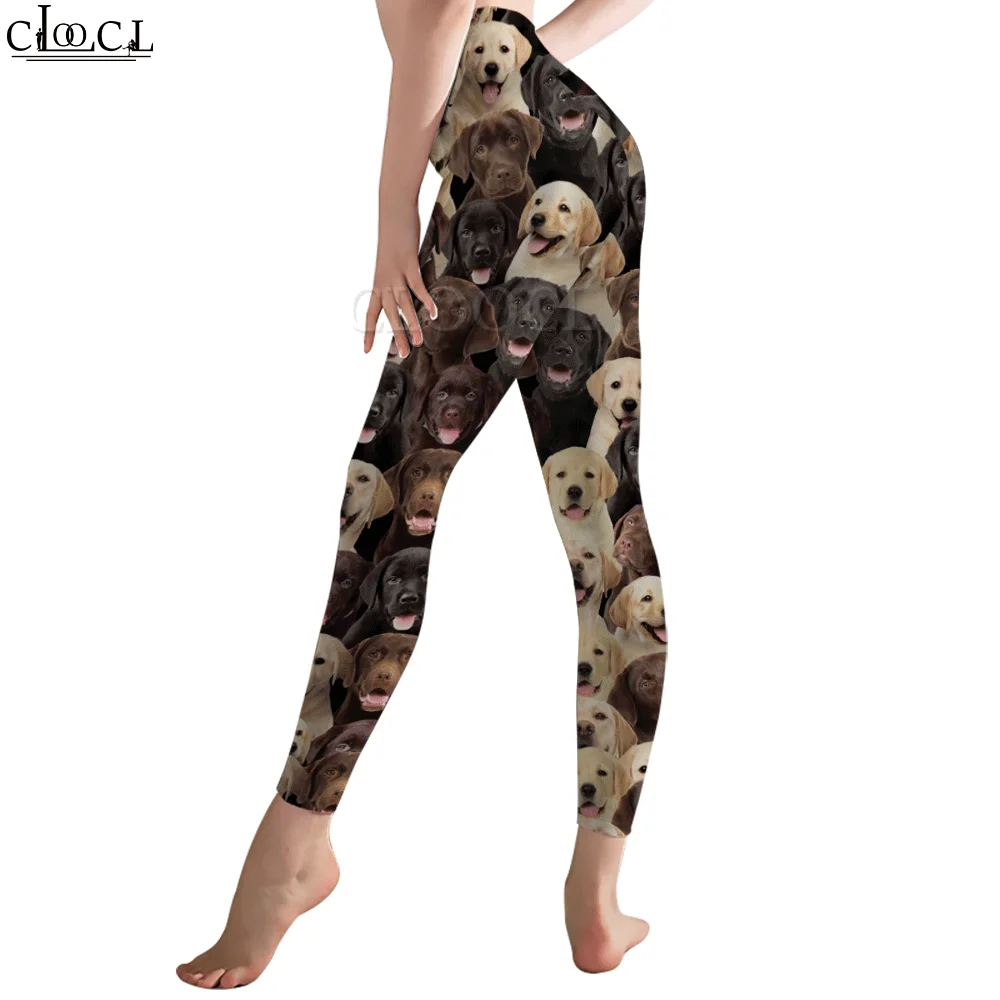 Cloocl mulheres esporte leggings de fitness labrador animal 3d impresso calças esportivas yoga calças justas para mulher push up