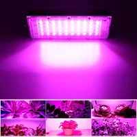 220V Full Spectrum LED Grow Light Phyto Lamp For Plant Light Hydroponic Lamp Greenhouse Flower Seed Grow Lighting 100W/200W/300W