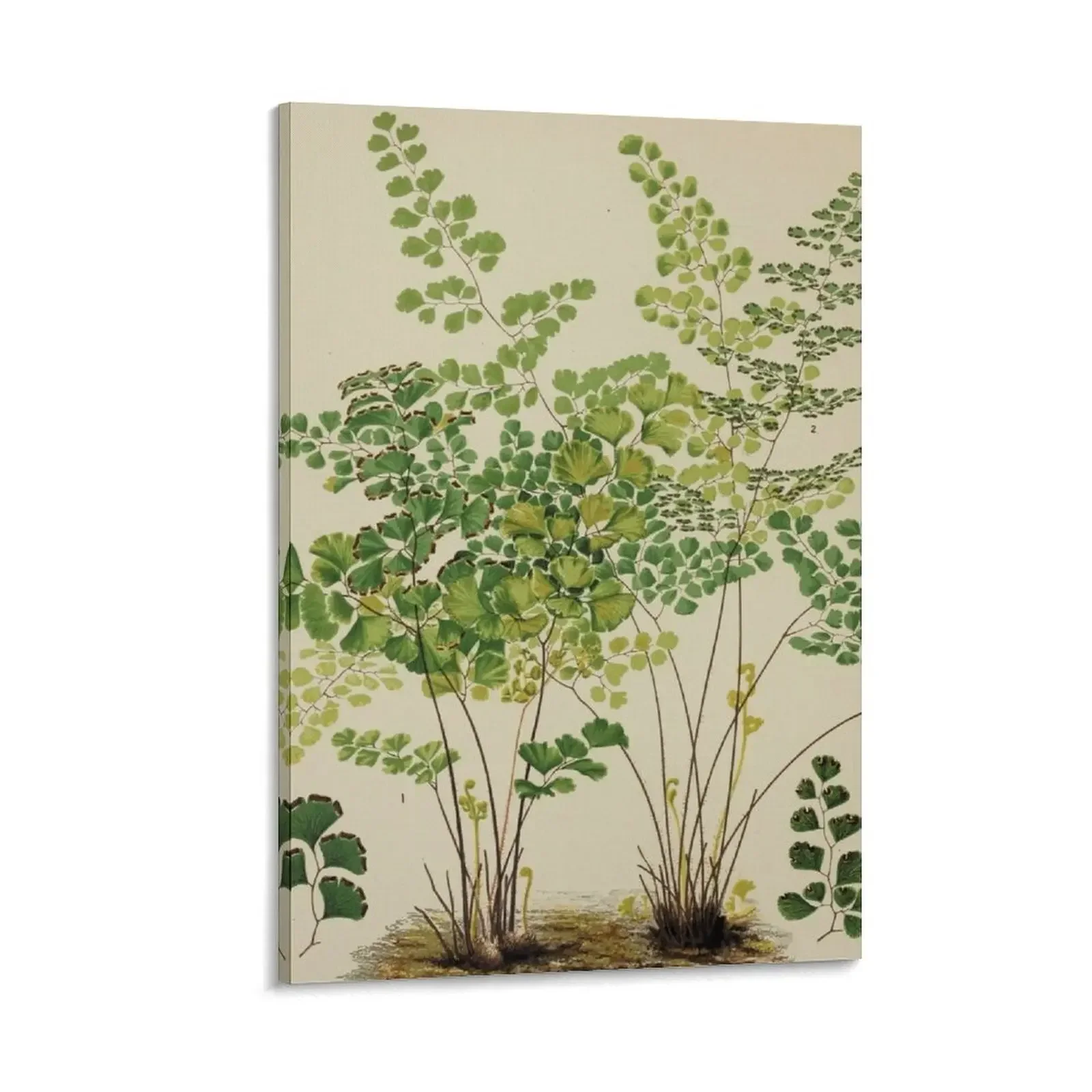

Maidenhair Ferns Canvas Painting Decoration pictures room wall living room decoration room decorations for girls