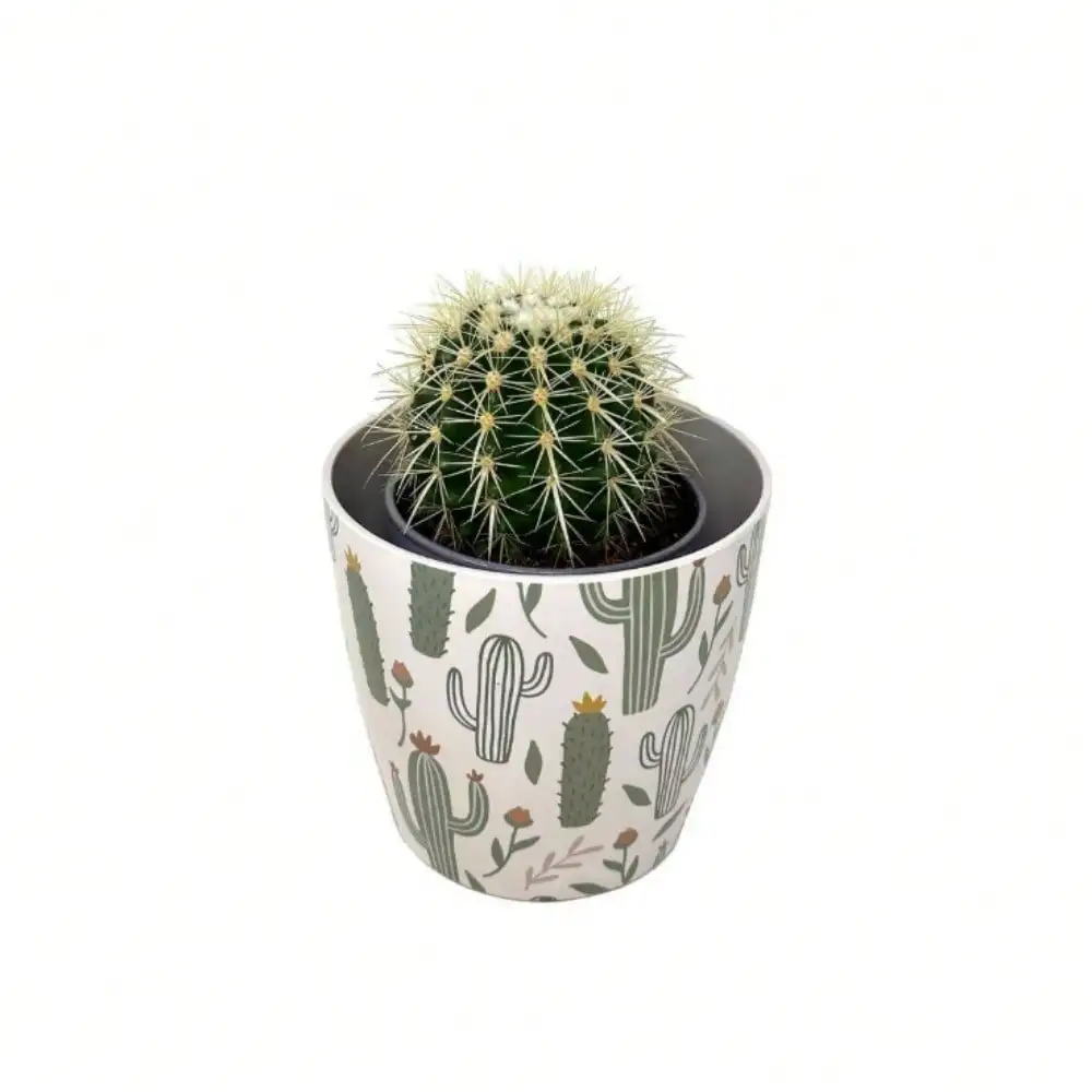 7 بوصة. وعاء دائري من الخيزران ذاتي السقي #5