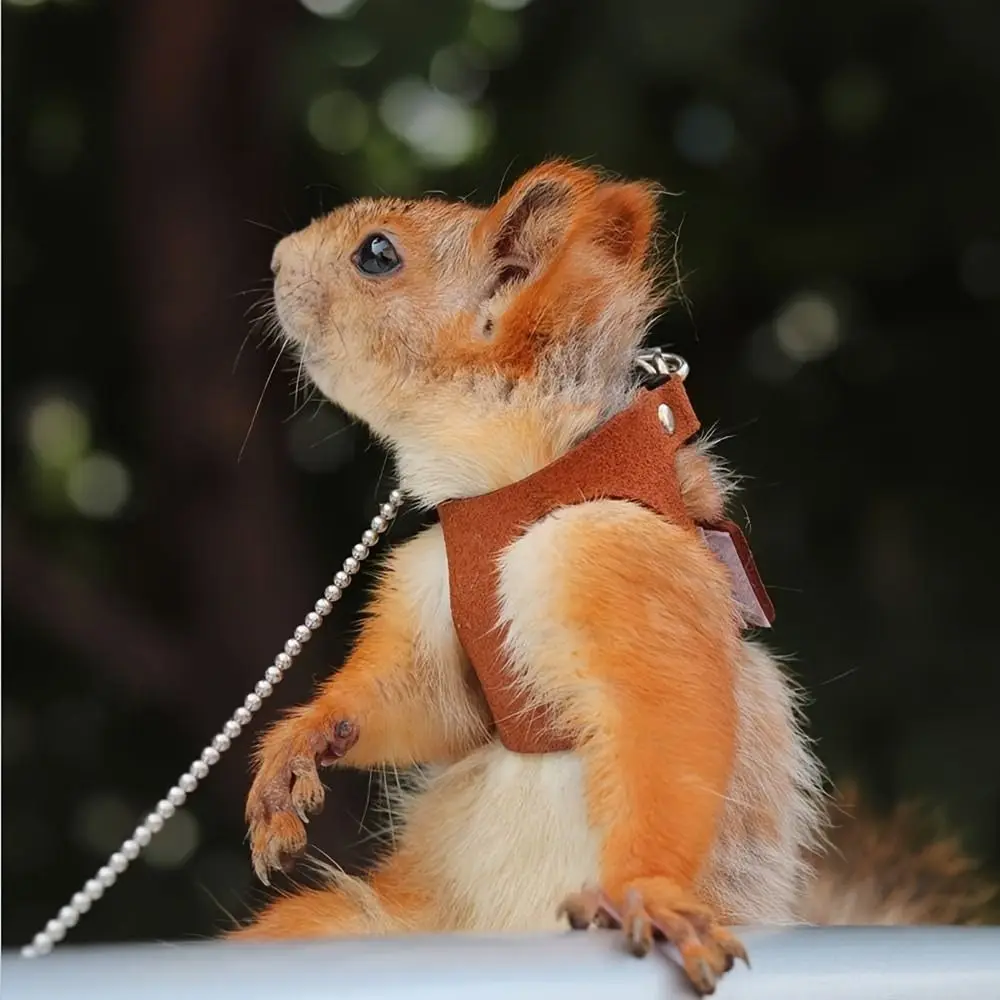 

Adjustable Rat Harness and Leash Set Leather Anti-Bite Chest Strap Lizard Traction Rope Soft Comfortable