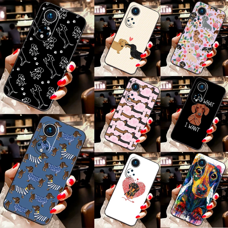 Dogs Dachshund Cute… - image