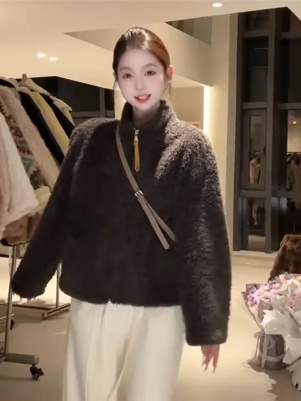 

Корейская короткая куртка с воротником-стойкой из овечьей шерсти для женщин, осенне-зимняя, теплая, плюшевая, универсальная, маленького размера, модный топ