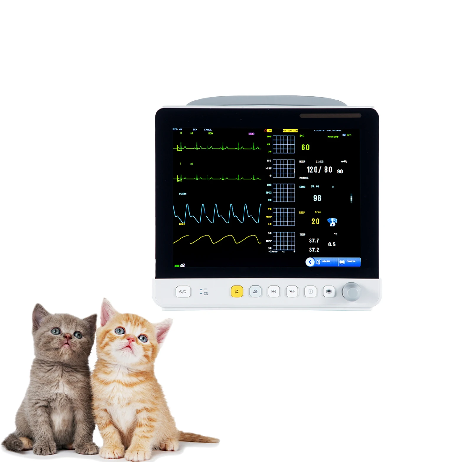 

Medical LCD Veterinary Vet ICU Surgical Vital Signs Multi Parameter Medical Monitor