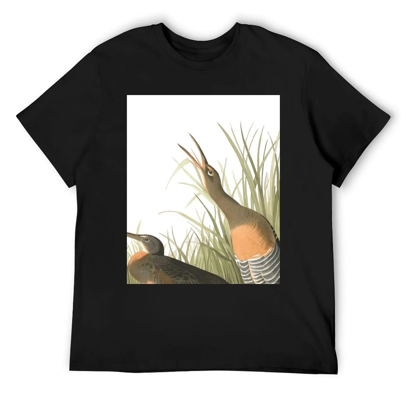 

Clapper Rail - John James Audubon T-Shirt