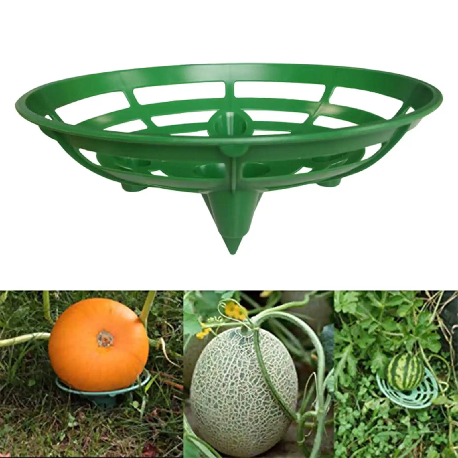 Gardening 5Pcs Oval Fruit Tray Set With Watermelon Support Frame Anti Rot Elevated Basket For Melons Vegetables