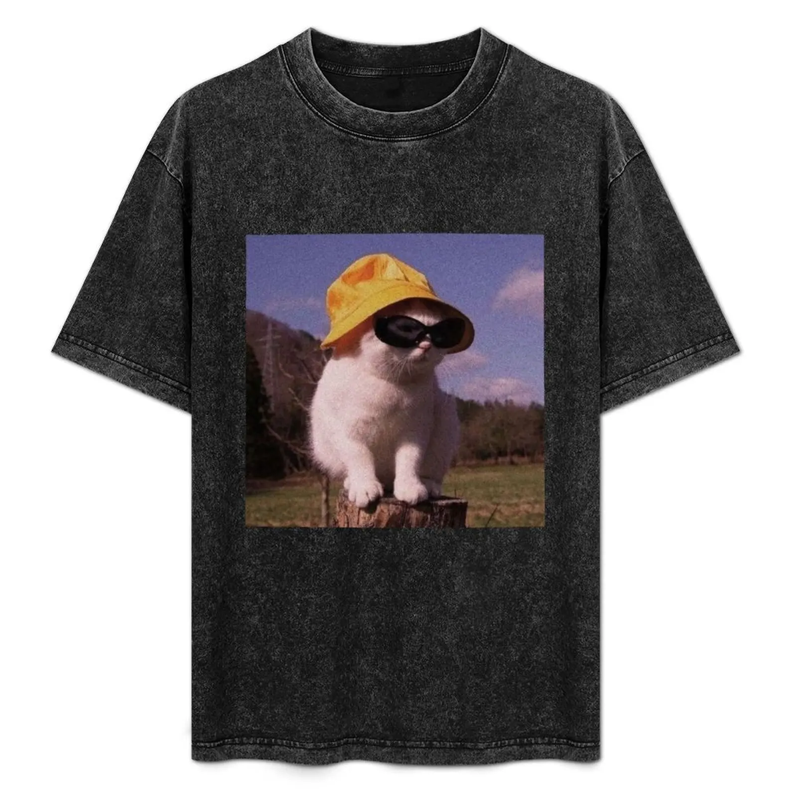 

Cat using hat and sunglasses T-Shirt Daily Casual Short Sleeve Tee Shirt