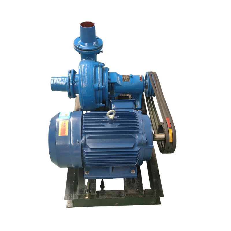 Small Mobile Sludge Pumps 5hp Centrifugal Slurry Water Pump Customizable Cable Length Metal For Surface Mortar Applications