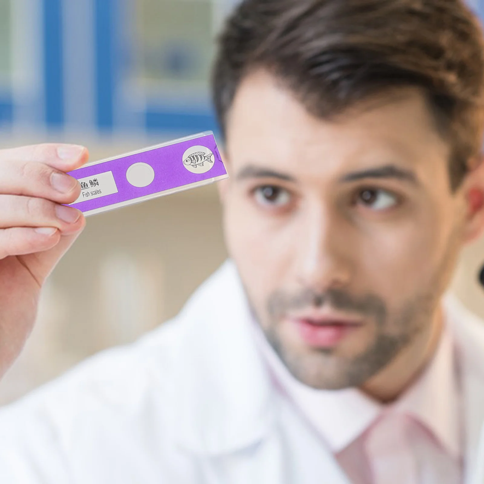 24 قطعة مجموعة شرائح المجهر للأطفال عينات بيولوجية جاهزة من البلاستيك لتجارب العلم تسميات صينية إنجليزية ثنائية اللغة