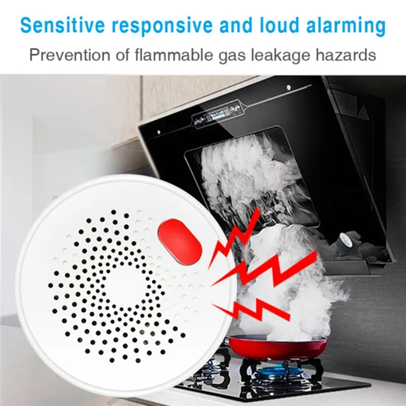 

ABKN-Smart Gas Leakage Detector Highly Sensitive Combustible Gas Alarm LPG Natural Gas Sensor EU PLUG