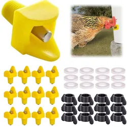 10-50pcs Chicken Automatic Water Dispenser Is Easy To Install and Not Prone To Water Leakage Poultry Automatic Water Dispenser