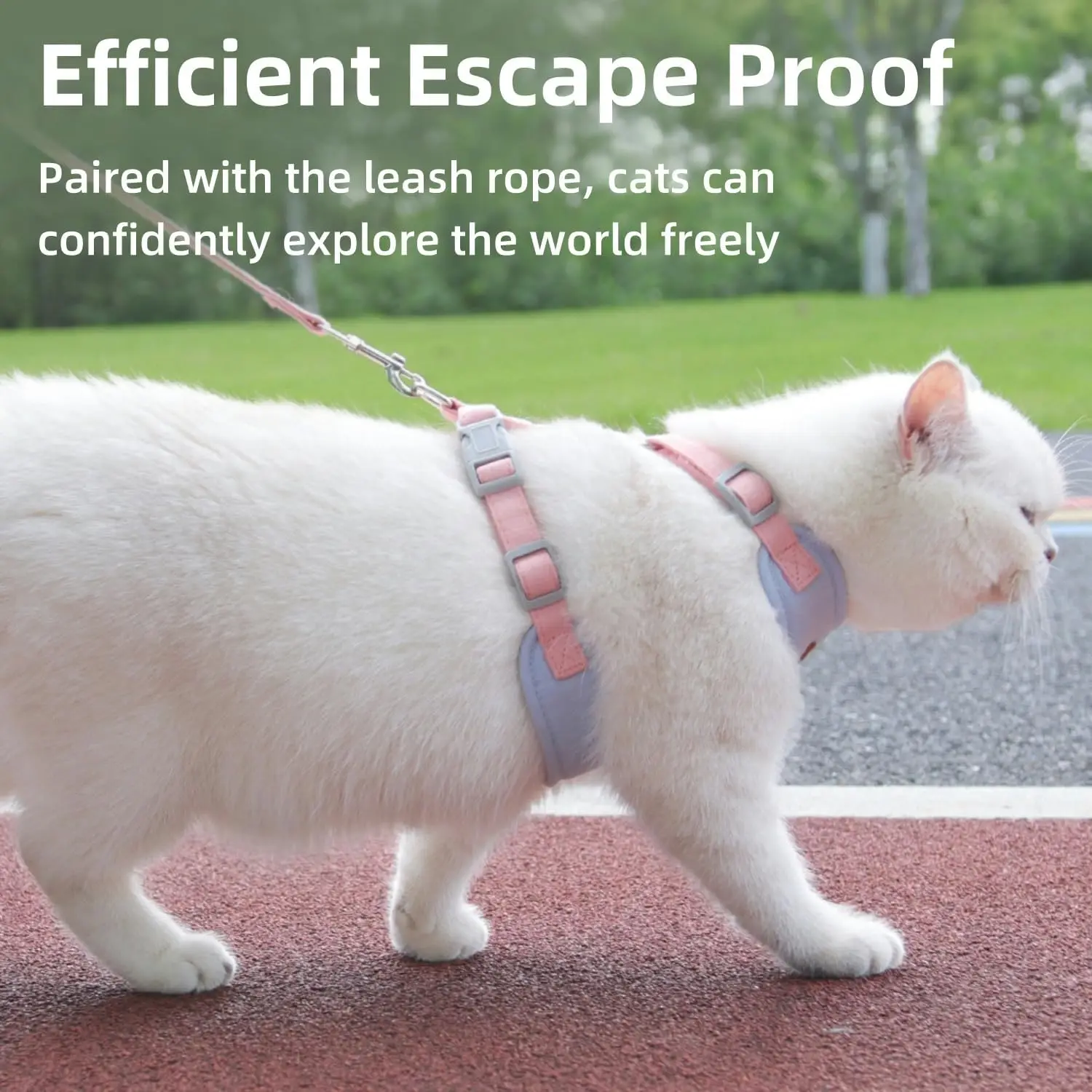ปรับสายรัดลูกแมวชุด Escape PROOF Breathable Cat Harness และสายจูงสําหรับเดินกลางแจ้งควบคุมง่าย PET Supplies