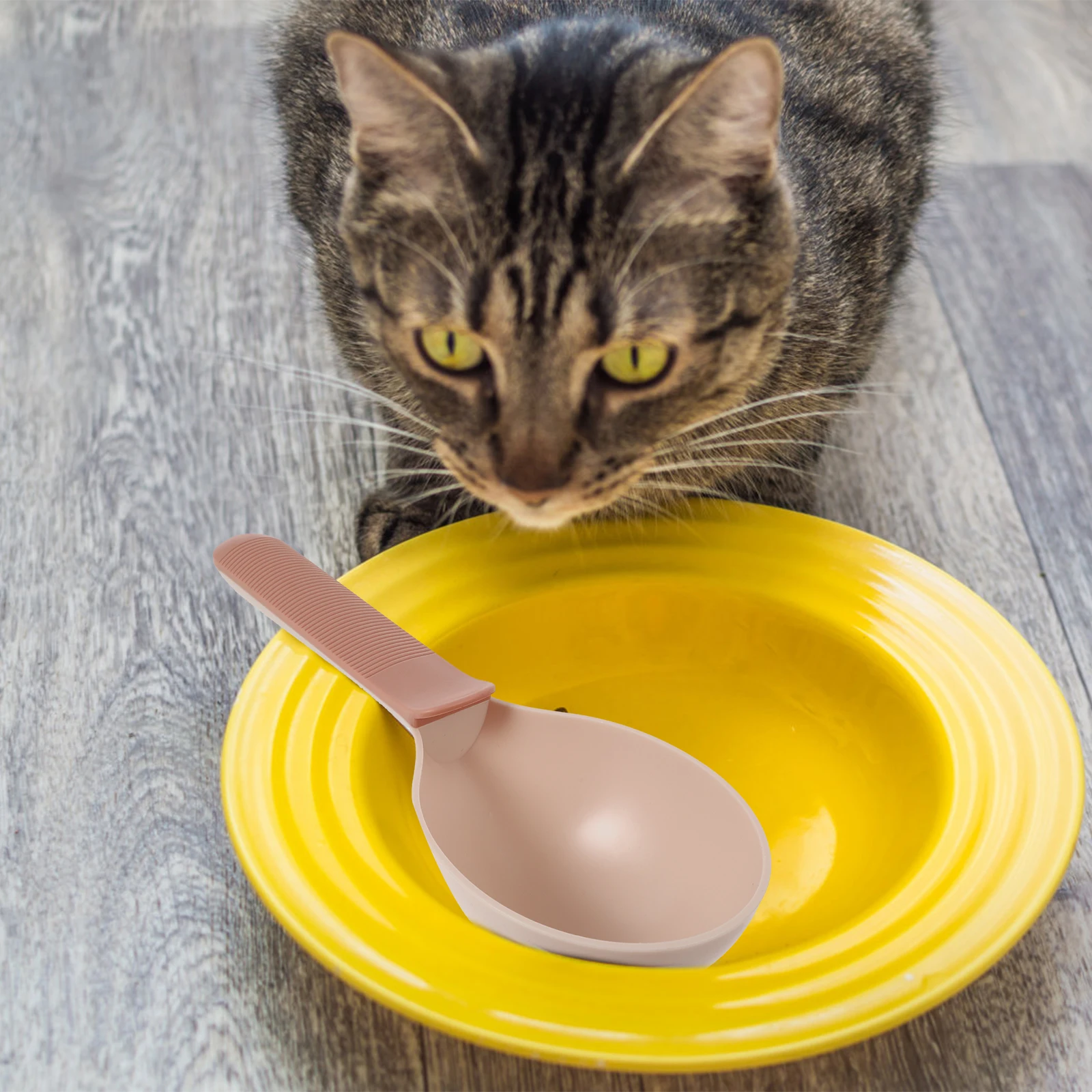 

3pcs Pet Food Spoon Scoops Plastic Lightweight Feeder Shovel Kitchen Cat Dog ABS Durable Easy Clean Practical