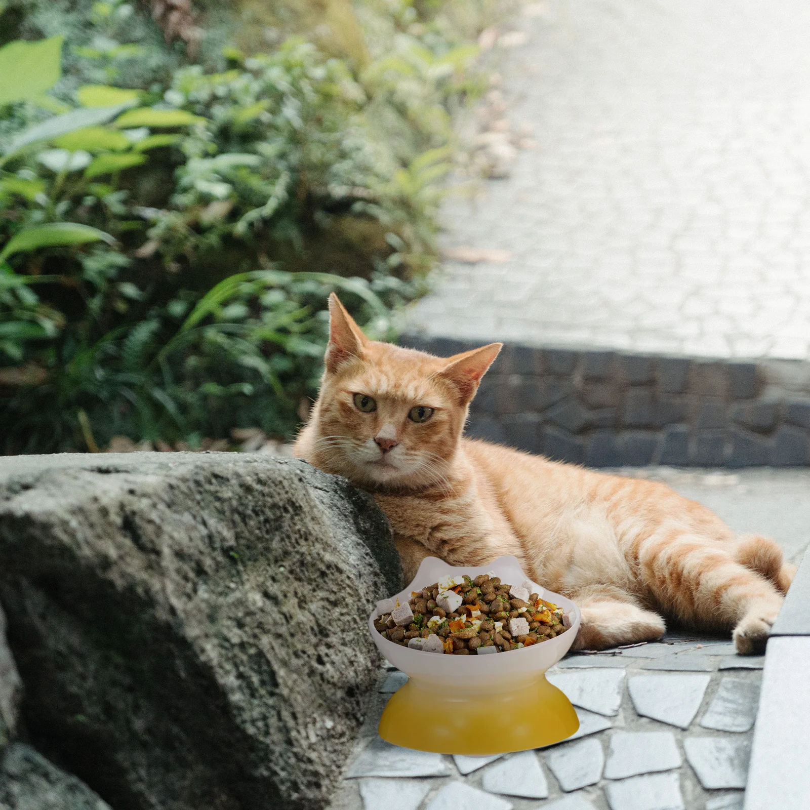 

Anti-Slip Tilted Dog Bowl Ceramic Pet High Bowl for Cats Dogs Puppies Kittens Small Animals Feed Water Dry Wet Food Round Mouth