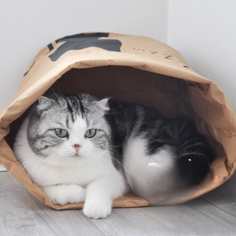 Cat's nest kraft paper rustling bag toy scratch resistant cat bag