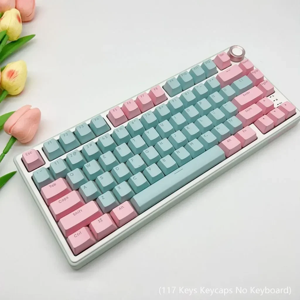 117 toetsen roze-cyaan keycaps OEM hoogte PBT DIY gamer maatwerk voor 61 87 98 104 108 toetsen mechanisch toetsenbord