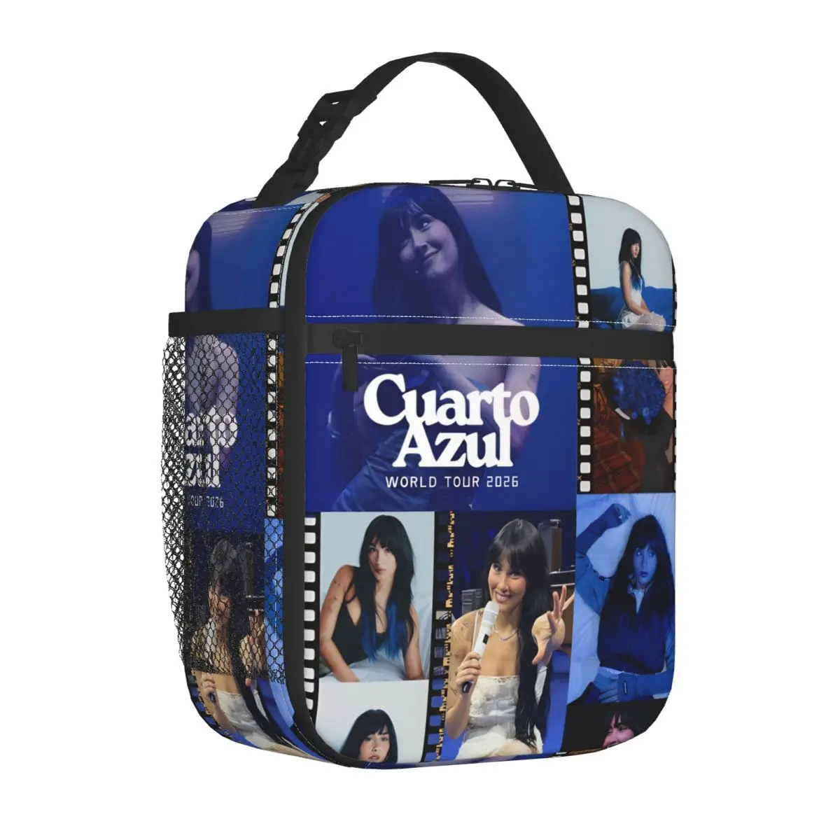 Singer Aitanaed Insulated Lunch Bag Cooler Bag  Meal Container Large Tote Lunch Box Food Storage Bags Beach Outdoor