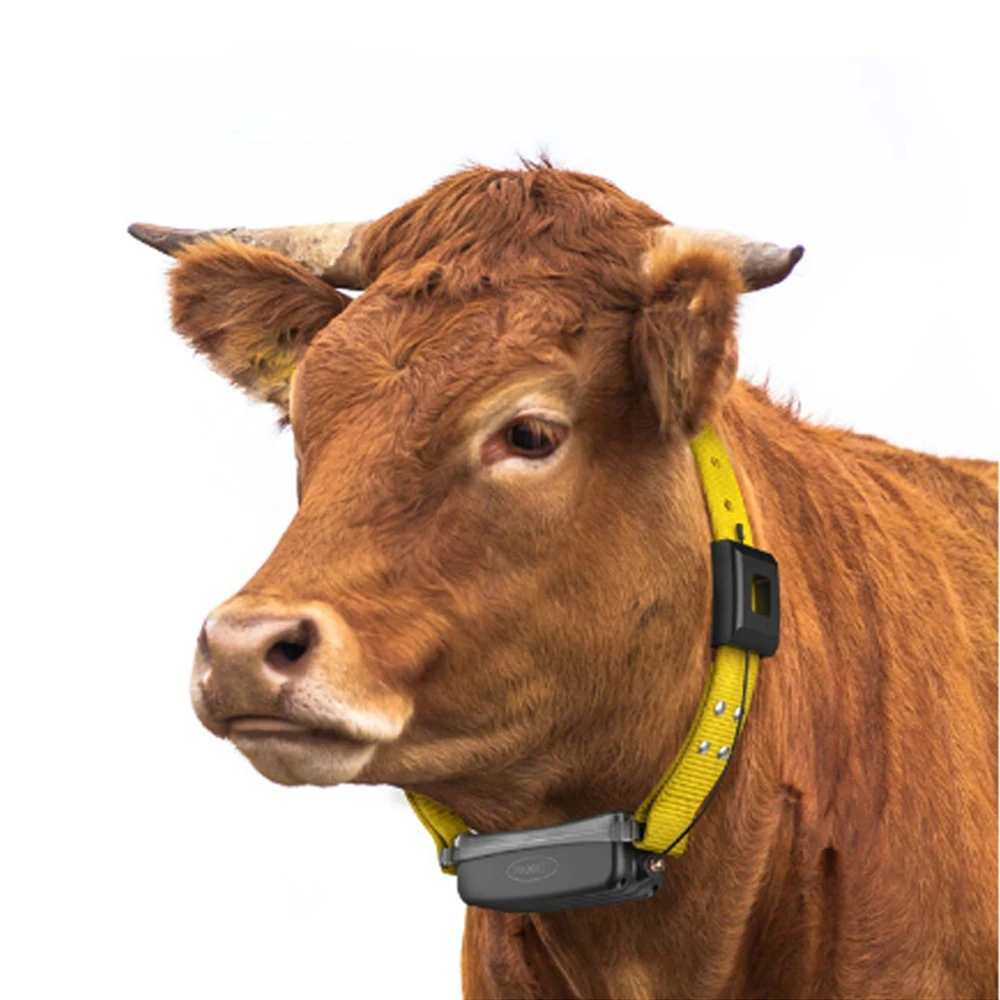 Lora Cattle Tracker Livestock Tracking Device Lora For Livestock Sheep Cow Camels And Horses