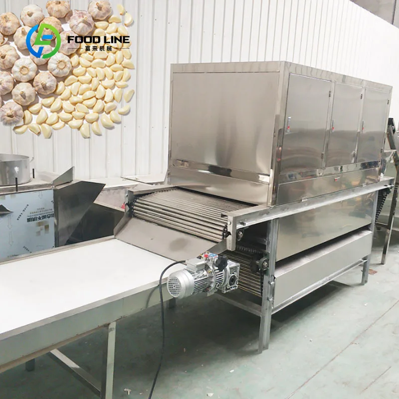 Garlic Peeling Machine Chain-Type Dry Pneumatic for Food Factory Customized Industrial High Efficiency