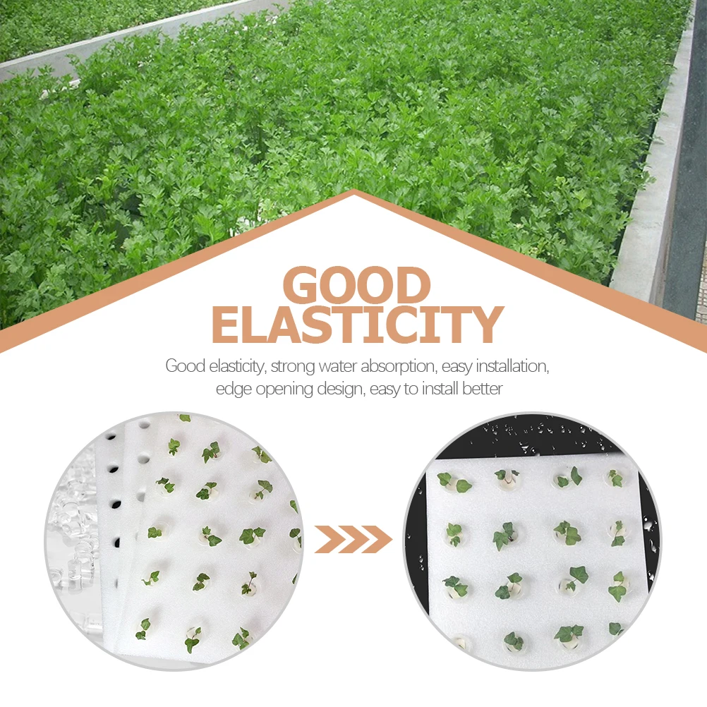 

Hydroponic Sponge Tray Kits Sprouting Board Vegetable Cultivation Plant Growing Supplies Gardening Tool Accessories