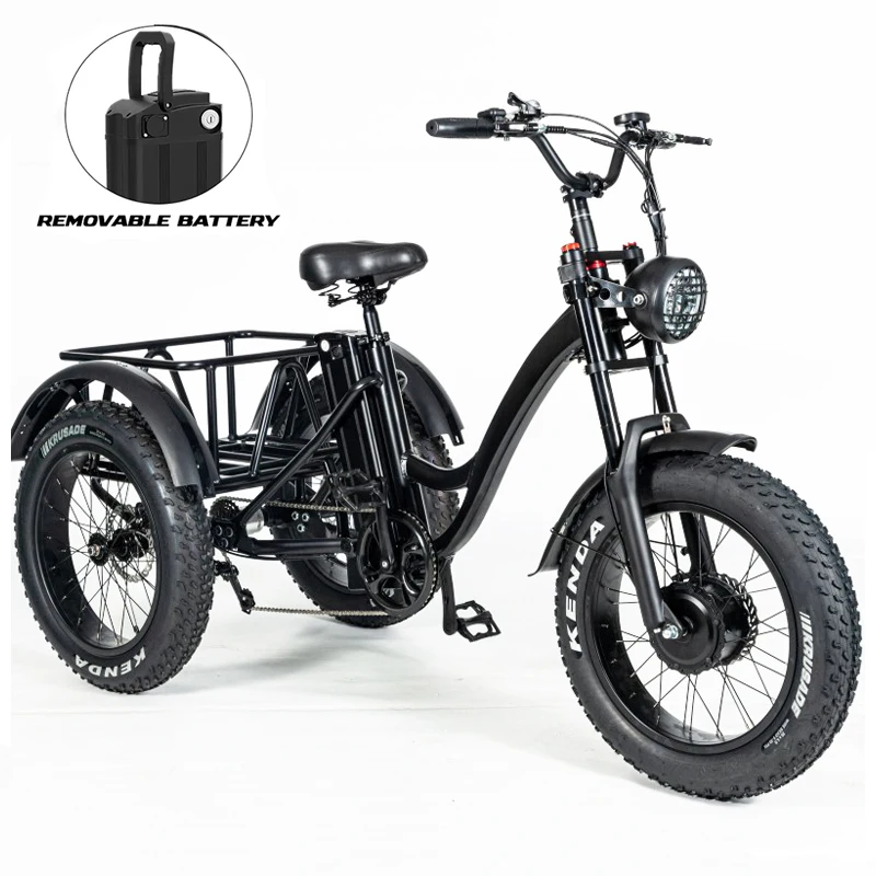 20 Inch Electric Trike adults 750W Motor Fat Tire 3 Wheel tricycle bike electro Three Wheels Adult Cargo Electric Bike