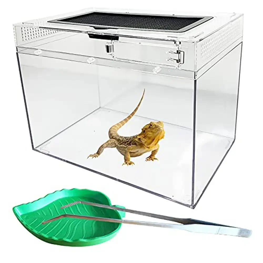 

Reptile Tank Enclosure Habitat Terrarium with Tweezer Bowl Gecko Spider Tarantulas Frog Feeding Box Durable High Temperature