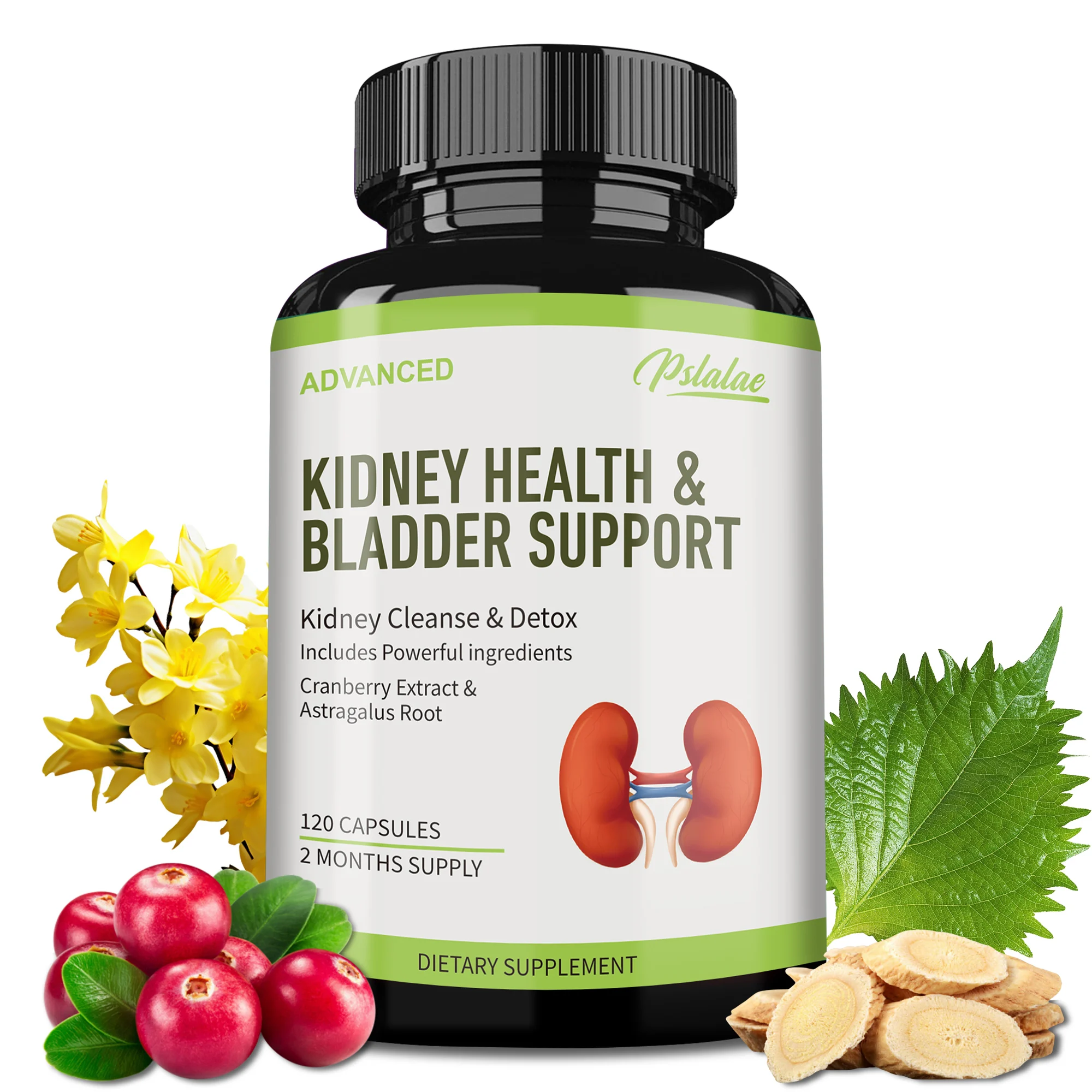 

Kidney Health and Bladder Support - Kidney Cleansing, Promotes Energy Production, For Normal Urinary Tract & Bladder Health