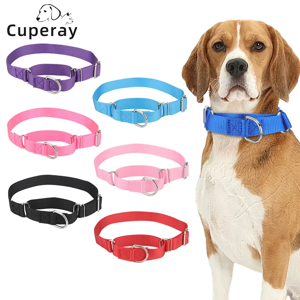 Martingale Collar for Dogs，Dog Collar with Durable Metal Buckle Adjustable Nylon Pet Collars Prevent Slipping Out Puppy Collars