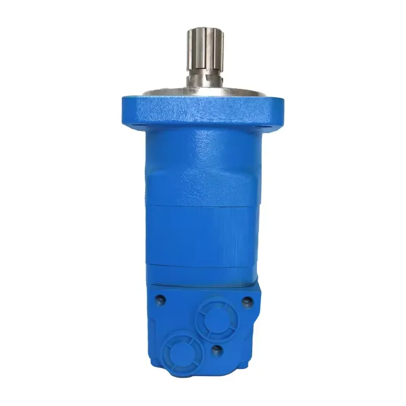 High Speed Hydraulic Gear Motor BM5 160 200 250 Torque Motors for Industrial Machinery Wholesale Replacement Parts Durable
