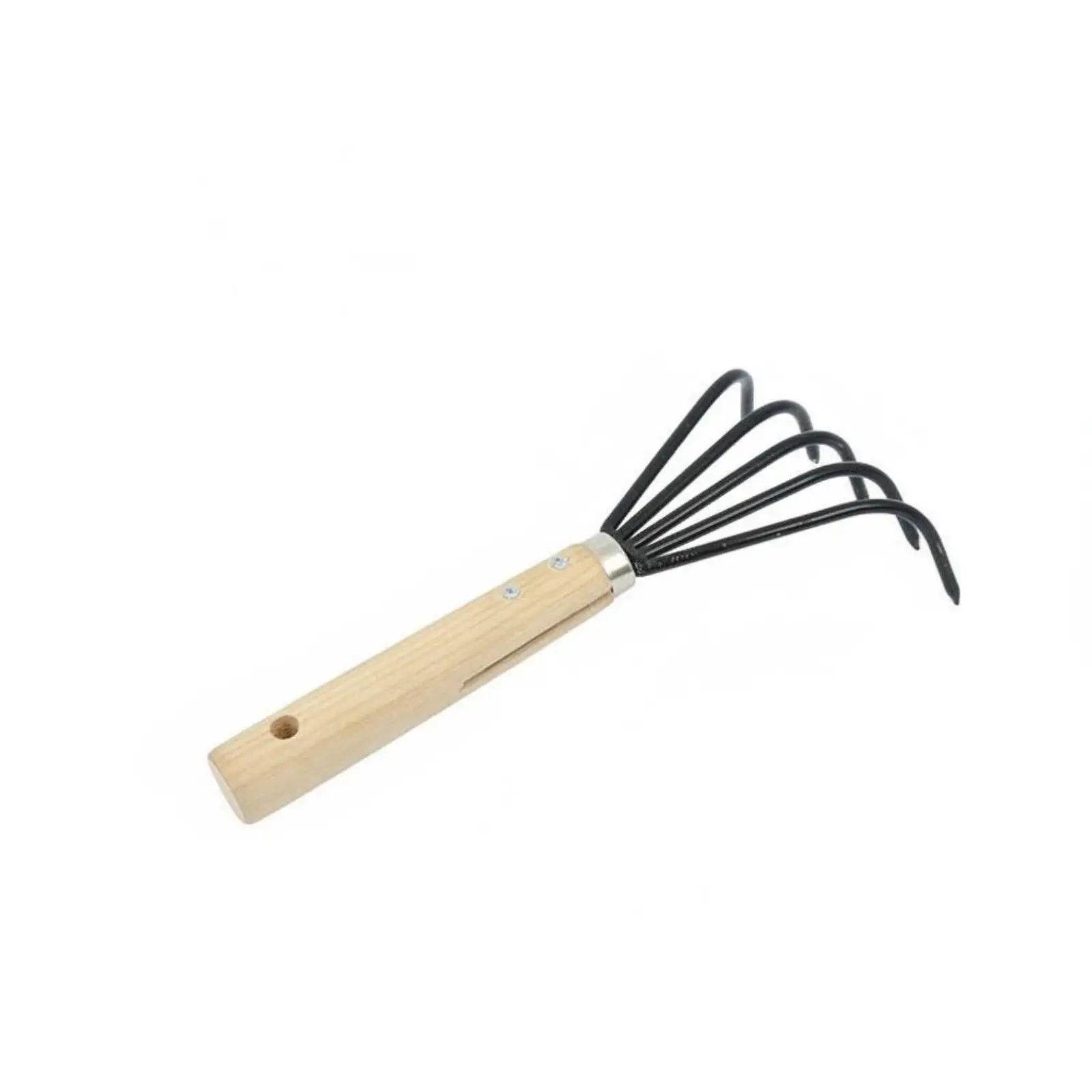 Outdoor Shellfish Rake for Coastal Flats Crab Clam Snail Foraging Sand Sieve Beach Tool
