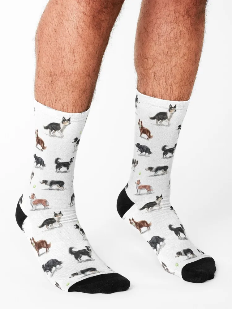 Border Collies Socks Stockings Lots sheer sport Girl'S Socks Men's