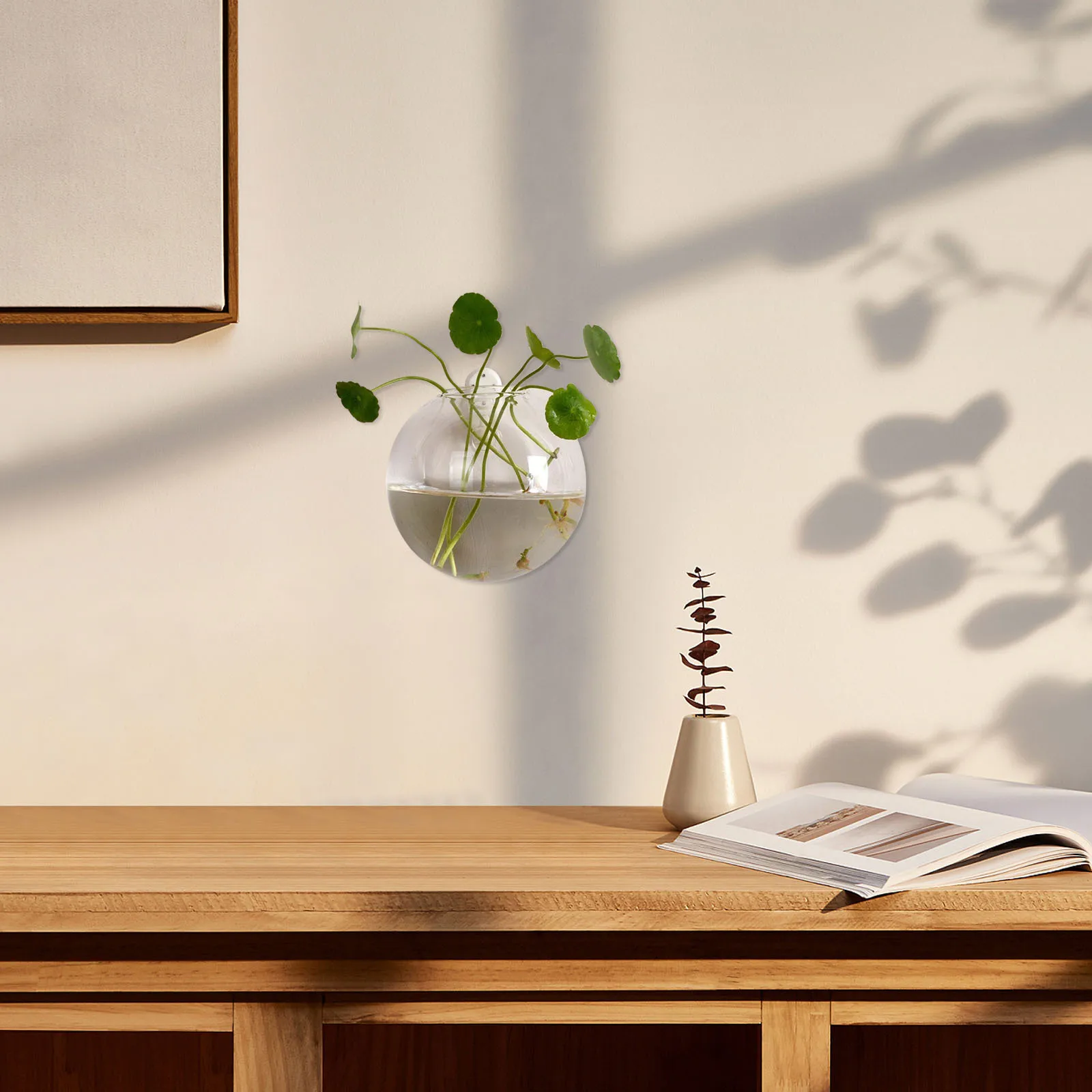 

Hanging Wall Hydroponic Clear Glass Vase Succulent Planter Lucky Plant Holder Fish Bowl Succulent Vase Glass