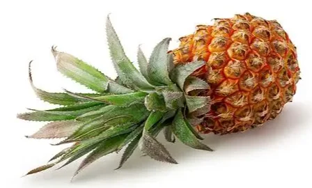 

Holybro High-Precision RTK GNSS Antennas (CHX603A/CH7609A/CSX627A/CUX622A/CH8605A) - Hot Sale RC Tools