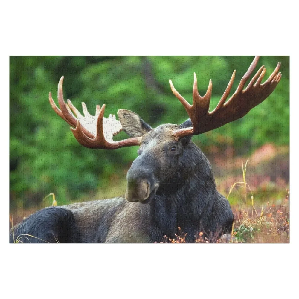 Resting Moose Jigsaw Puzzle Customizable Child Gift Wooden Decor Paintings Puzzle