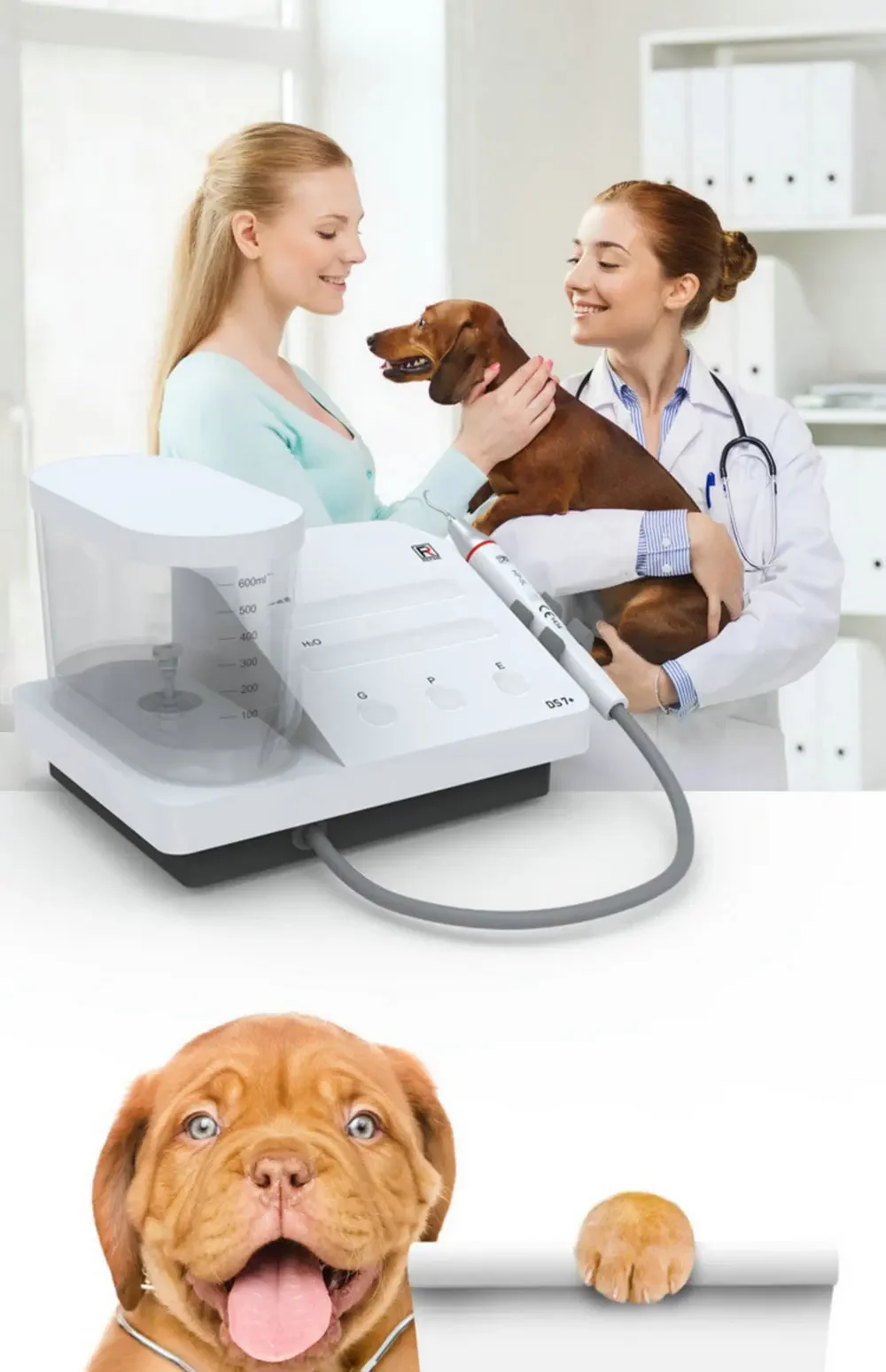 LED Handpiece Auto Water Supply Touch Control Pet Hospital Clinic Use Ultrasonic Piezo Scaler