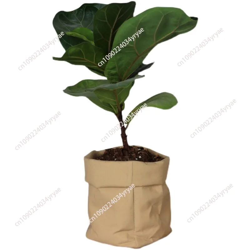 

Kraft paper Nordic style flower pot silicone mold, creative concrete cement, succulent flower pot mold, Chinese style