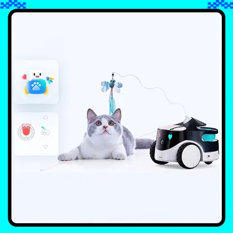 Enabot ROLA PetPal Smart Robot Pet Companion Robot Movable Camera Home Ebo Remote Monitoring Wireless Indoor Intelligence Gifts
