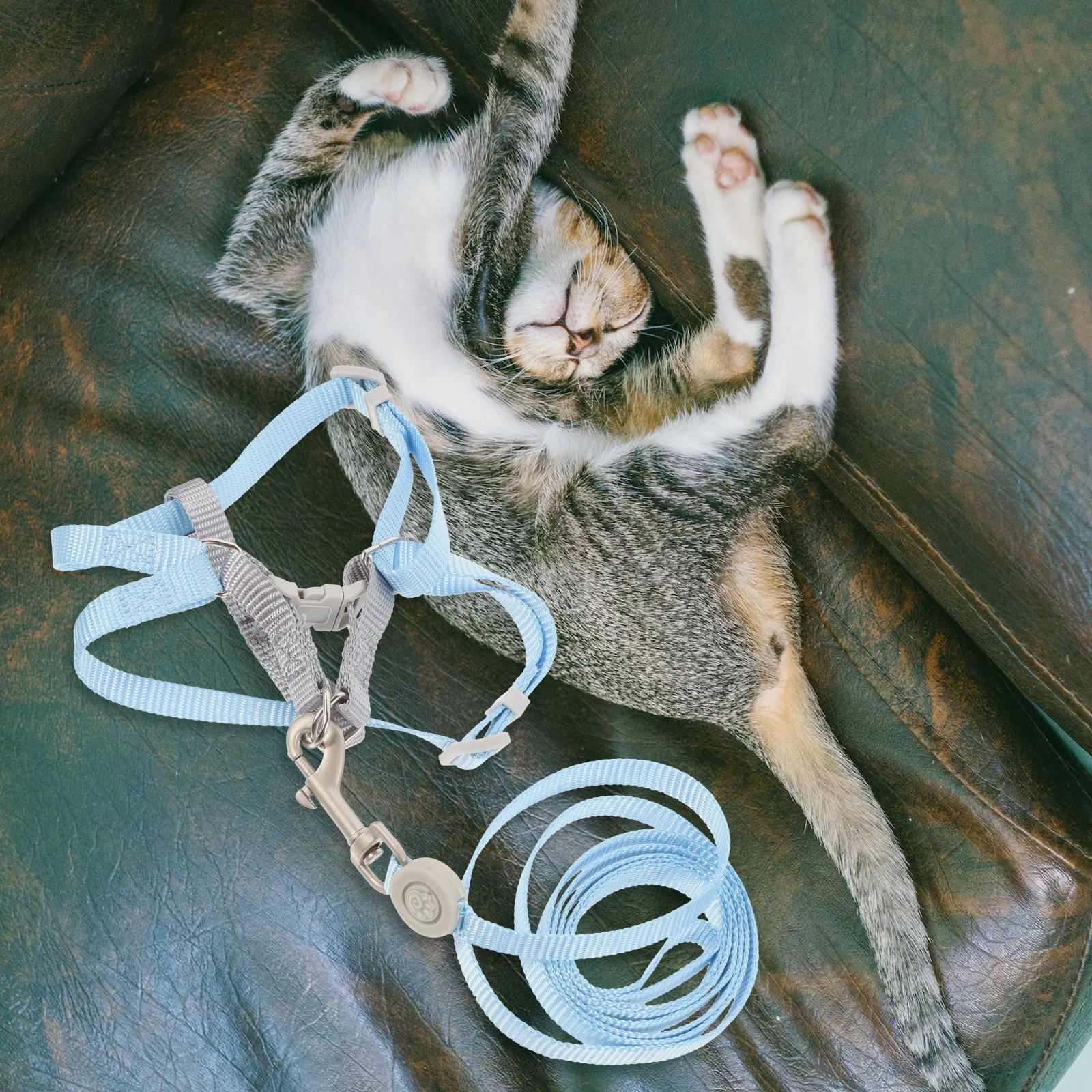 

1 set Cat Harness Leash Set Escape Proof Adjustable for Kitten Small Cute Flexible Walking Pet Halters Stylish Fashionable Fits