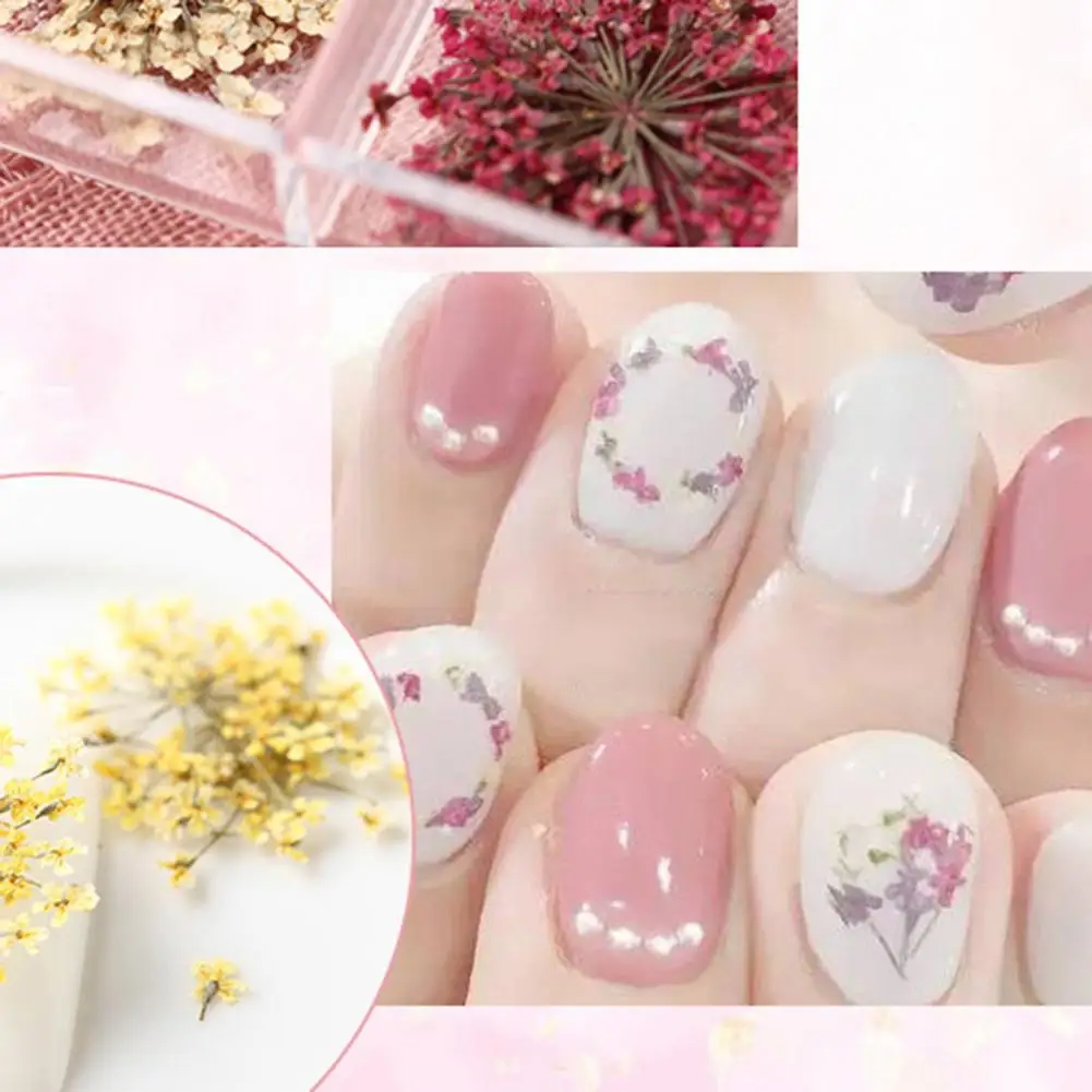 Dry Flower Manicure Deco Vibrant Floral Nail Art Supplies 12 Colors of Natural Dried Flower Charms for Manicure Uv Gel Polish