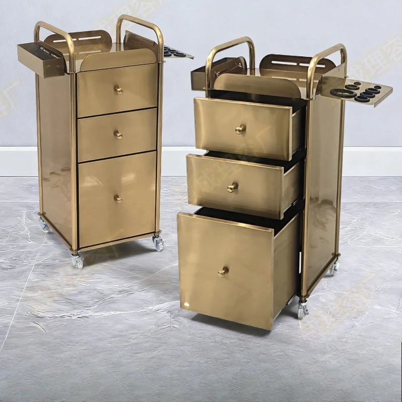 Professional Hair Salon Rolling Tool Trolley, Mobile Storage Cart with Wheels for Barber Haircut & Hair Dye Equipment