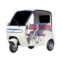 2025 Upgraded Electric Tricycle Car | Heavy-Duty Trike for Adults with Shockproof System