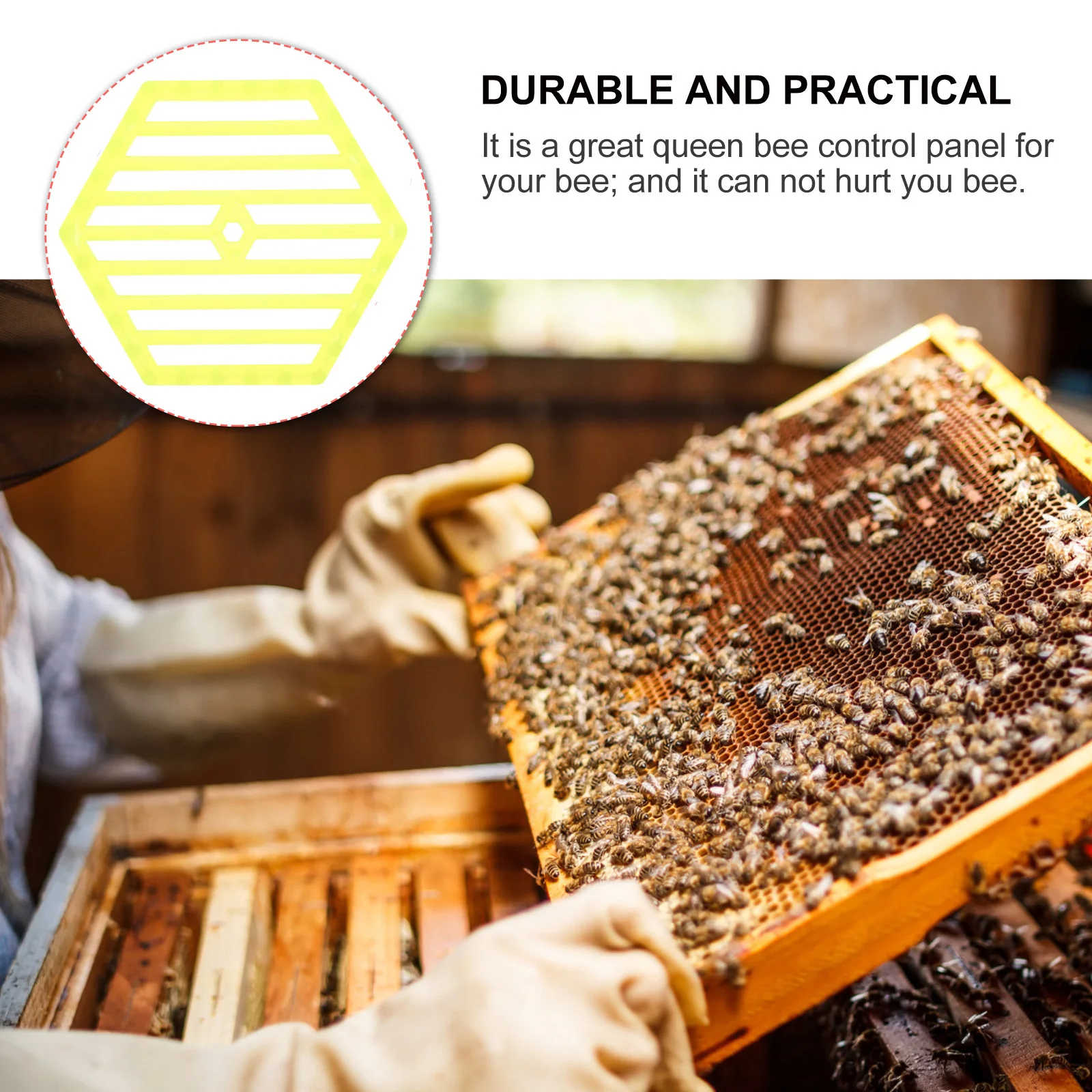 

6Pcs Cage Plate Durable Plastic Aviposition Panel Beekeeping Tool Accessory Queen Spawning Controller