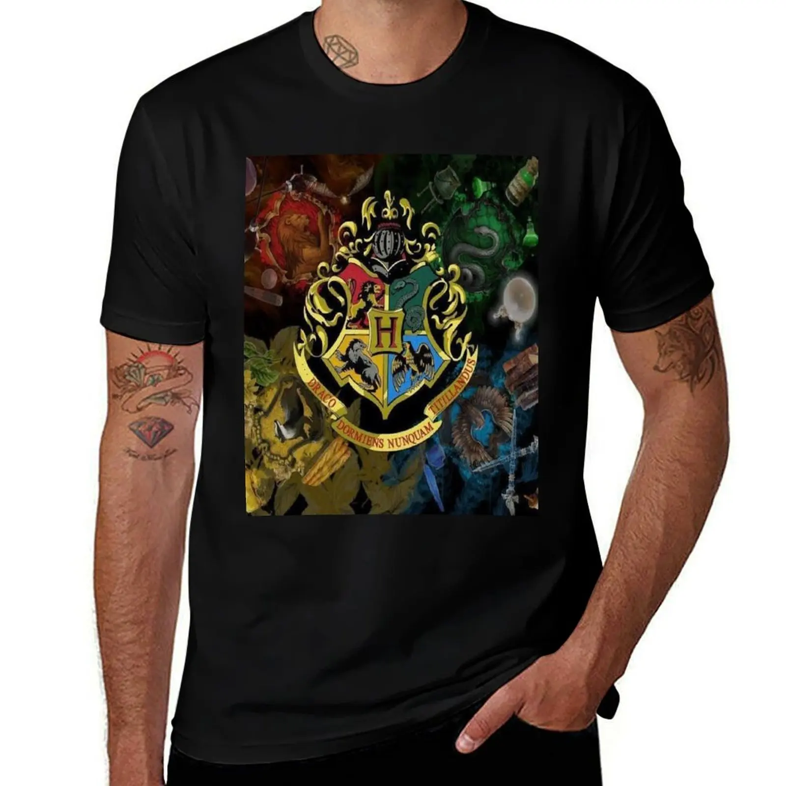 

HP magic schools T-Shirt vintage clothes custom t-shirts tshirts personalised mens workout shirts