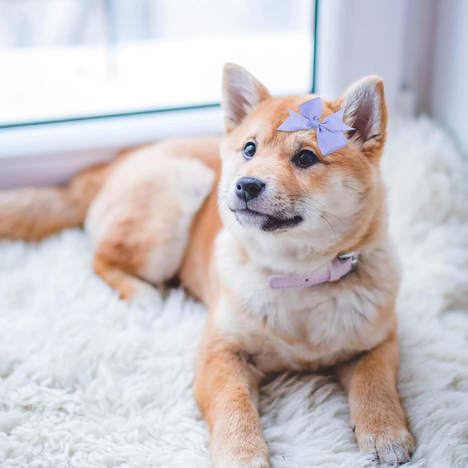 

8pcs Dog Bow Hair Clip Colorful Bows Cute Topknot Large Polyester Grooming Medium Large Dogs Fade Resistant Easy Use Pet