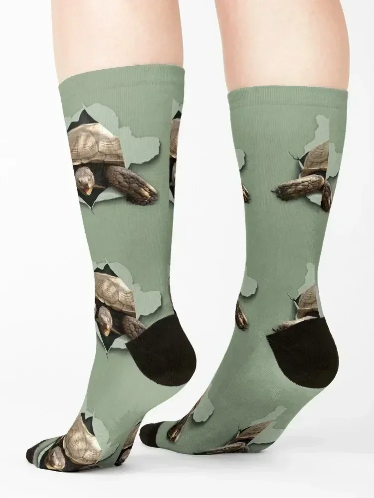 جوارب Sulcata Burst قصيرة مجنونة للهالوين جوارب نسائية أساسية للرجال