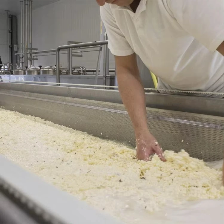 Small Cheese Making Machine Mozzarella Cheese Making Machine view 2