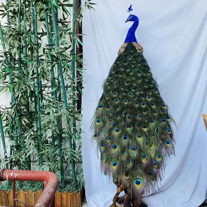 big real life colorful peacock model foam&feather beautiful long peacock bird gift about 180cm xf2944