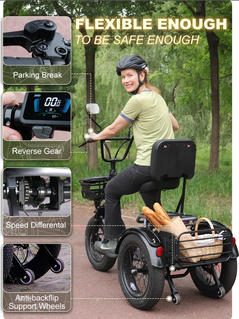 48v High Power 3-Wheel Cargo Electric Tricycle 18-Inch Full Suspension E Trike 2 Batteries 18-Inch Fat Tire Pedicab