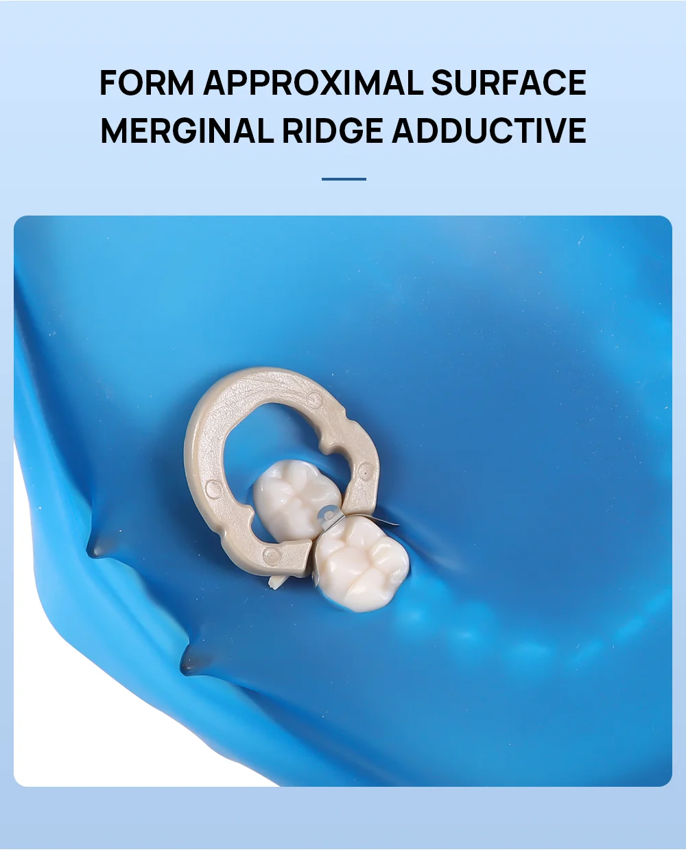 AZDENT Dental Matrix Bands Sectional Contoured Metall Matrizen M4/6/8 3,5/4,5/5,5/6,5mm Für Zähne Ersatz Zahnmedizin Werkzeuge – Detail 3