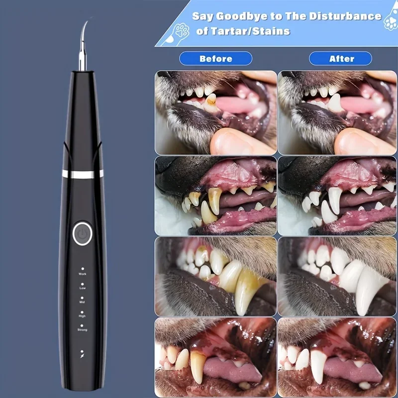 Elektrischer Scaler für Haustiere, Ultraschall-USB-Scaler, 2 Reinigungsköpfe, 4 Modi, Zahnsteinentferner für zu Hause, Zahnfleischpflegeset